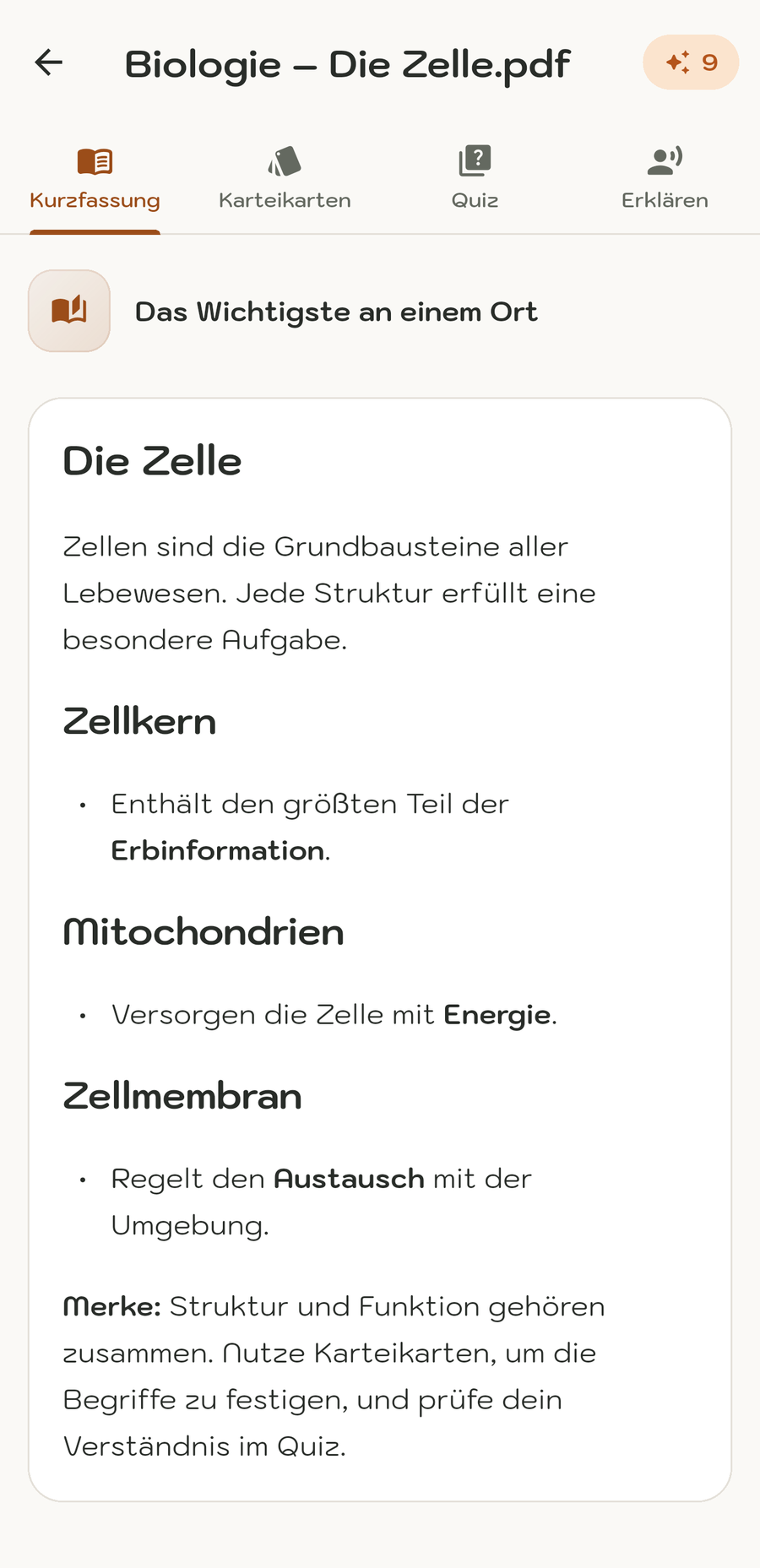 Zusammenfassung eines Dokuments in der MemoWize-App